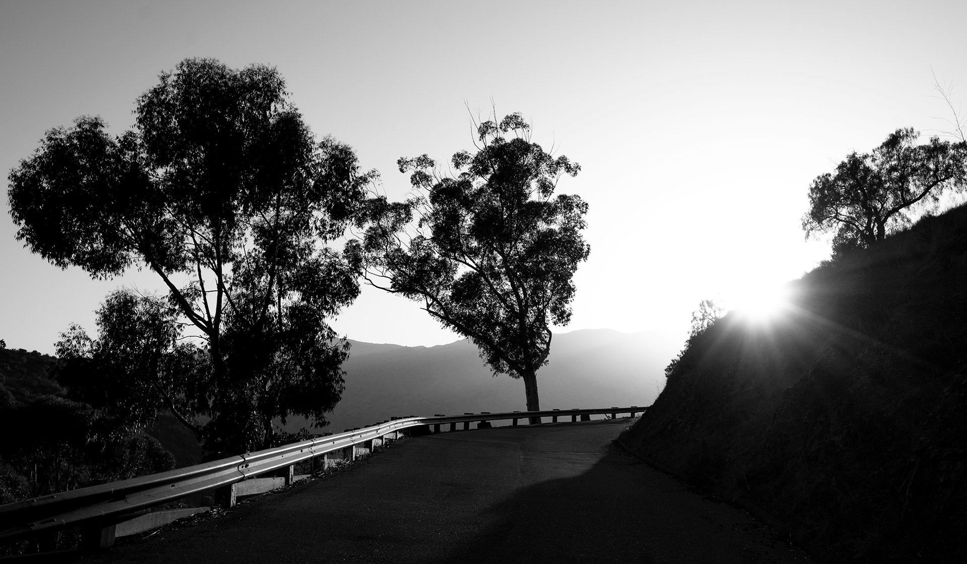 Walking up Wrigley road, Avalon, Catalina Island ©2021