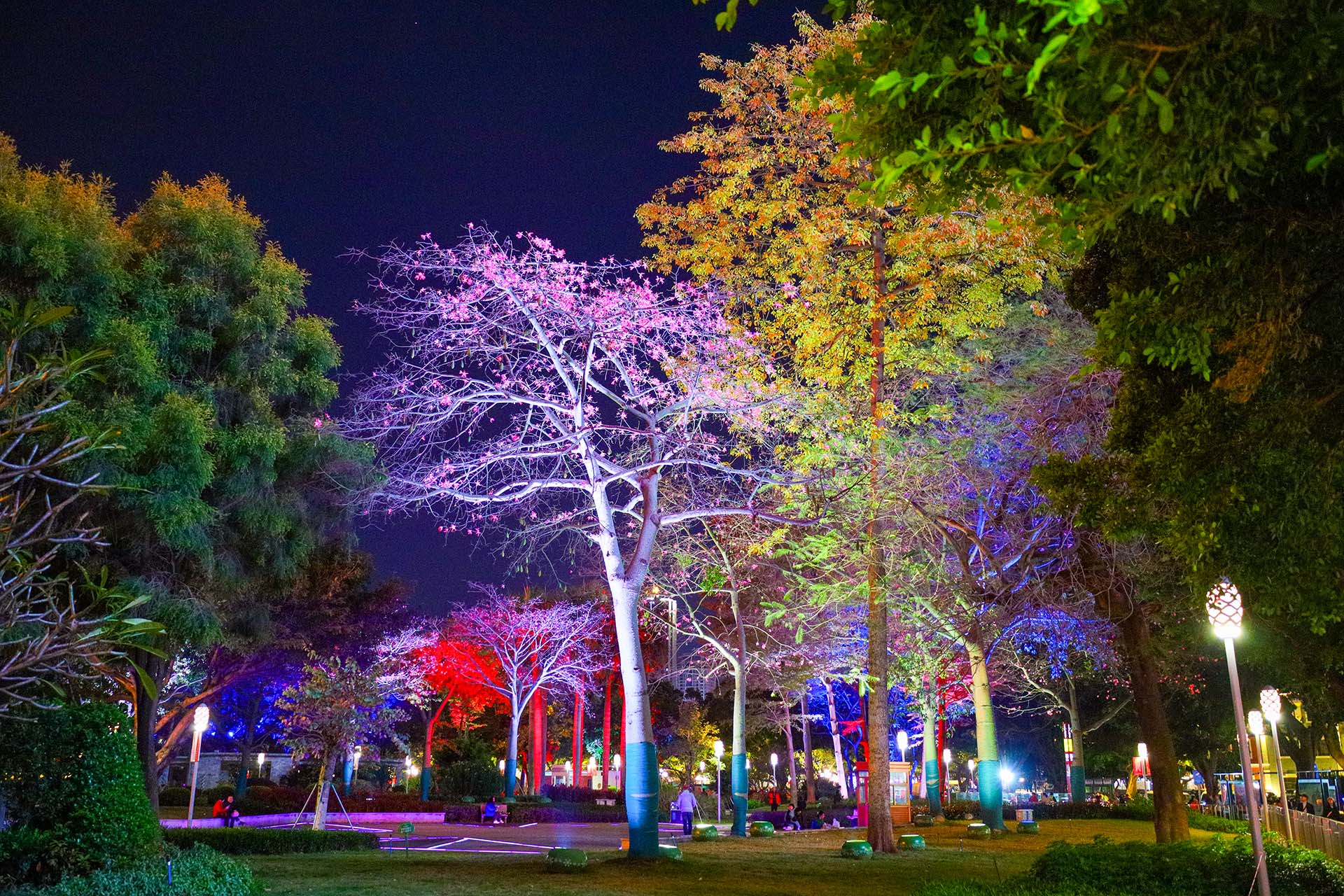 Park at night in Guangzhou, February 2024